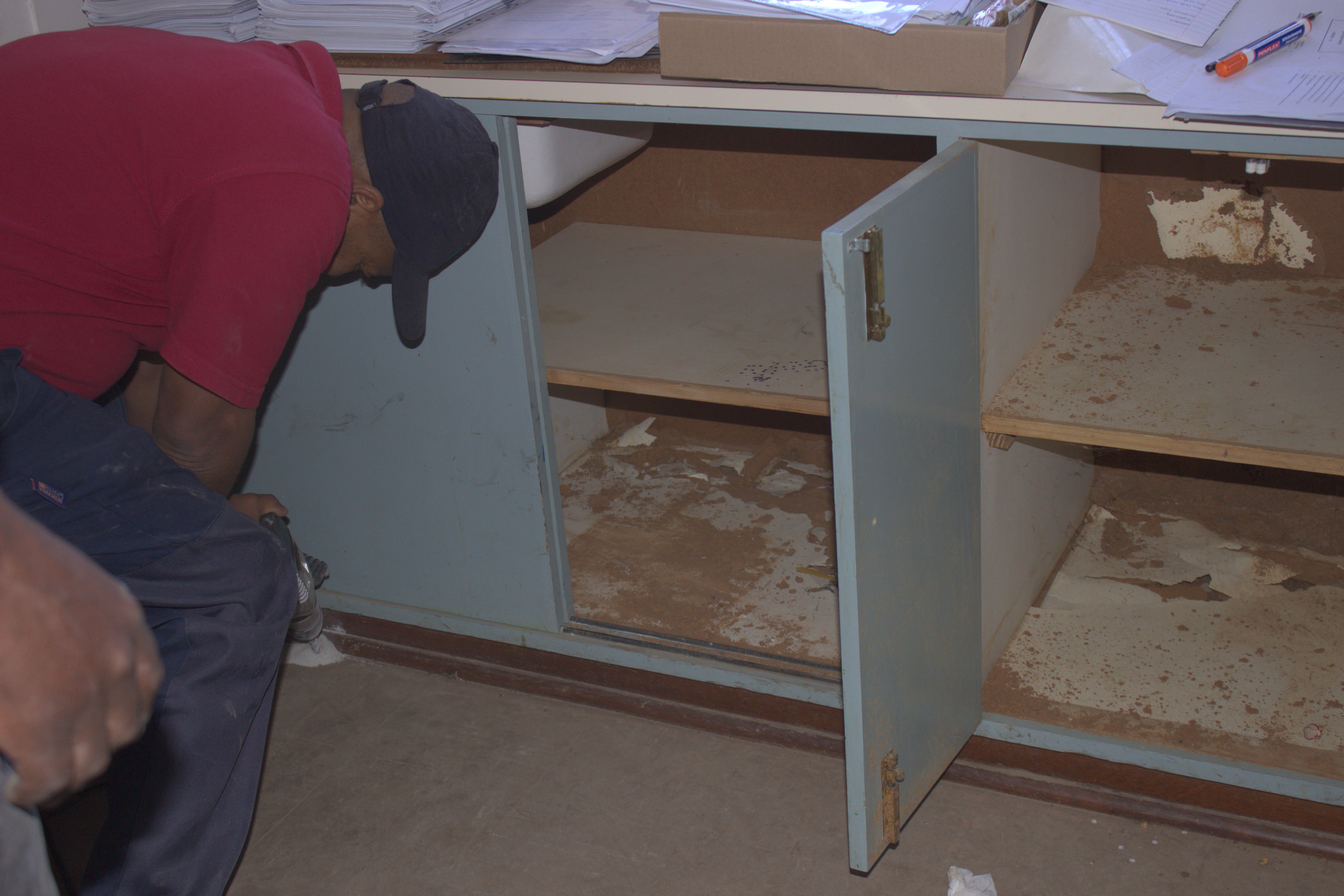 photo (8)